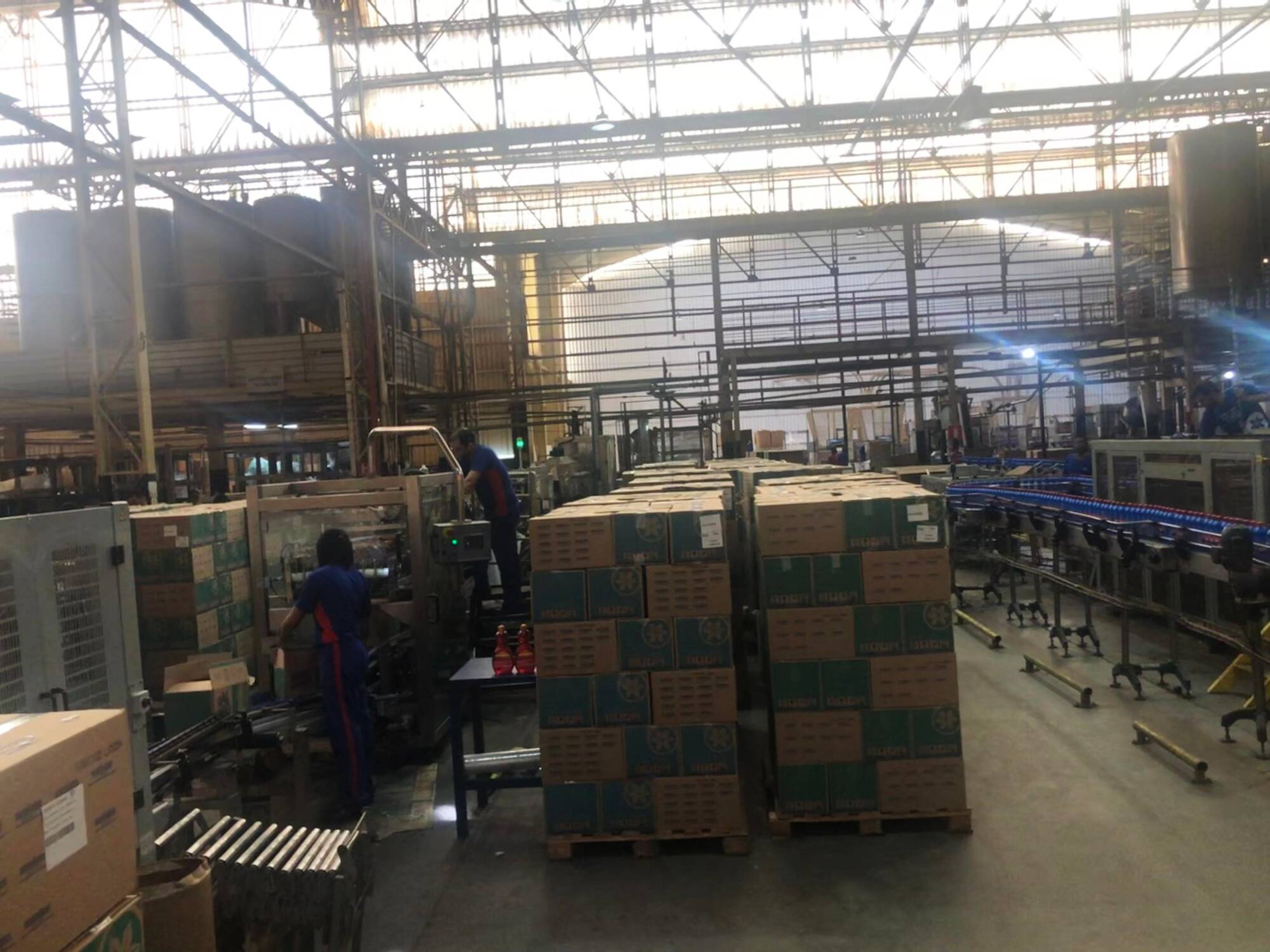 Chão de fábrica em operação — linha de envase e paletização